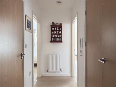 Picture 14